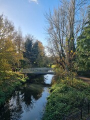autumn in the park