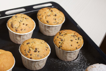 Freshly baked muffins with chocolate and raisins. Spread out on a baking sheet. Some are sprinkled with powdered sugar. Close-up shot.