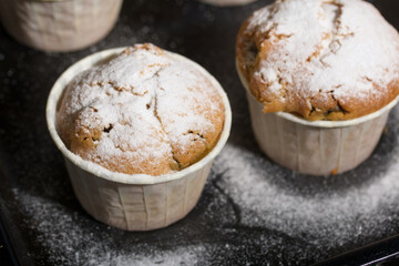 Freshly baked muffins with chocolate and raisins. Spread out on a baking sheet. Some are sprinkled with powdered sugar. Close-up shot.