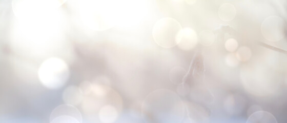Obraz premium abstract bokeh background - Winter Christmas nature banner