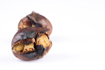 Roasted chestnut	on white background