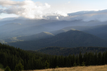 A magnificent panoramic view of the coniferous forest on the mighty Carpathian mountains and a beautiful background of the sky with clouds. The beauty of wild virgin Ukrainian nature.
