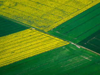 vue aérienne de champs de colza à Broué en Eure-et-Loir en France