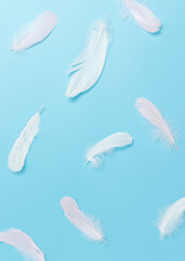 Pastel feathers on blue background. Fluffy, gentle, easy concept.