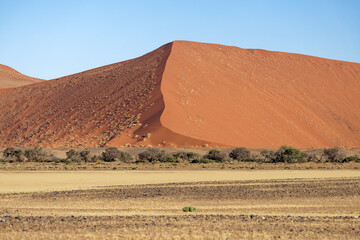 Düne im Namib Naukluft, Nationalpark