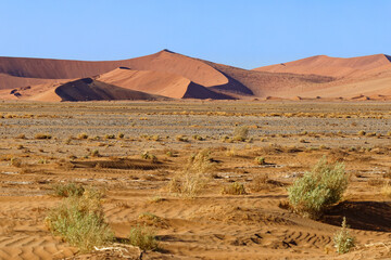 Fototapeta na wymiar Dünen im Namib Naukluft, Nationalpark