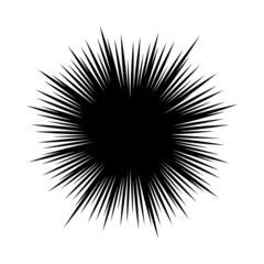 Obraz premium vector abstract radial burst. black star explosion