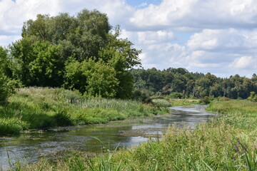 Fototapeta na wymiar rzeka Supraśl, woda, nurt, płynie, 