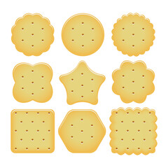 vector set of cracker chips