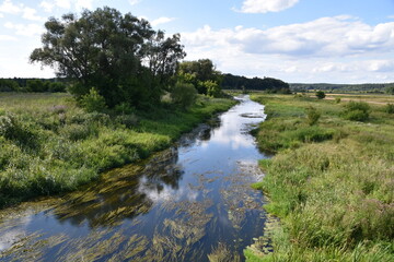 rzeka Supraśl, woda, nurt, płynie, 