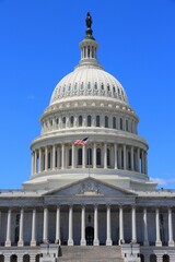 Obraz premium US National Capitol in Washington D.C.