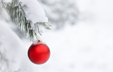 A red Christmas tree decoration hanging on a snow-covered spruce branch in nature. Soft focus. Place to copy