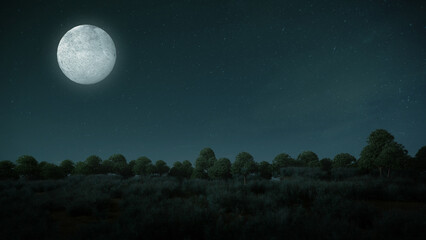 Fototapeta na wymiar Full moon with forest and meadow.3d rendering