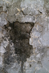 Cracked and moldy old walls