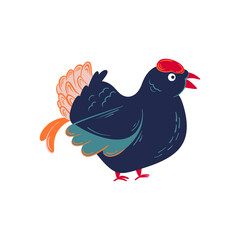 black grouse or blackcock wild bird vector isolated illustration. lekking black grouse from christmas birds