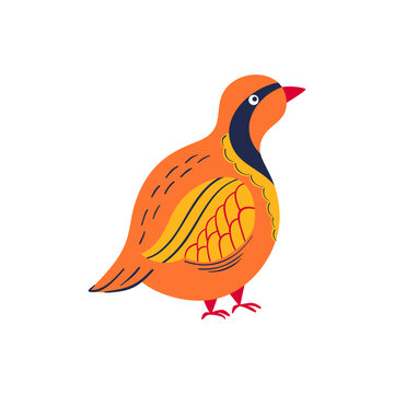 partridge vector illustration. hand-drawn stylized ground bird