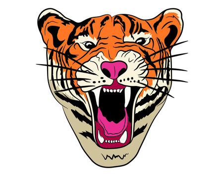 Growling tiger portrait in isolate on white background. Vector illustration.