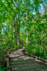 Fototapeta premium Walkway, Sandhills Horticultural Gardens, Pinehurst, North Carolina