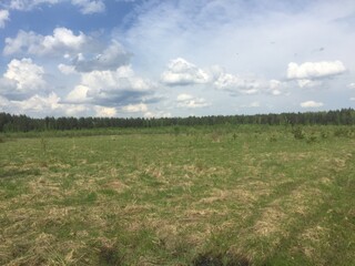 Fototapeta premium field and sky