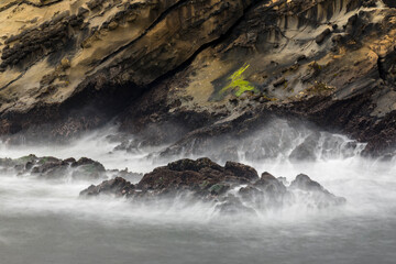 Long exposure of wave action along coastline, Shore Acres State Park, Cape Arago Highway, Coos Bay, Oregon