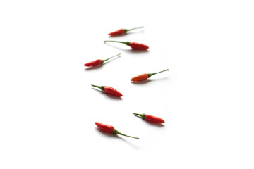 Isolated fresh red Bird's Eye Chili on white with copy space for your text