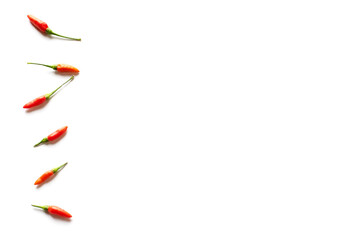 Fototapeta na wymiar Isolated fresh red Bird's Eye Chili on white with copy space for your text