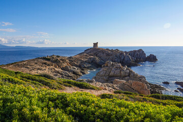 Fototapeta na wymiar Coastline near Cargese on the Island of Corsica France, Tower of Omigna