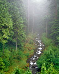 USA Washington Olympic National Park