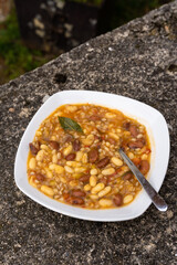 a plate of winter Tuscan bean soup with whole grains. traditional italian cuisine