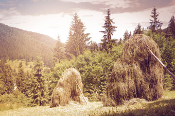 Haystack on a mountain in the forest. Making hay in summer in a mountain village