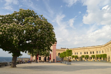 Naklejka premium Festung Ehrenbreitstein oberhalb von Koblenz.