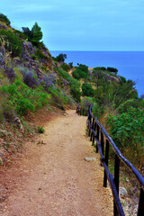 Fototapeta na wymiar coastal path in the zingaro natural reserve sicily italy