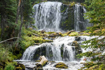 Fototapeta na wymiar Linton Falls, Three Sisters Wilderness, Willamette National Forest, Oregon
