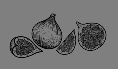 Vector illustration, cutaway figs, organic fruit, vegetarian food.