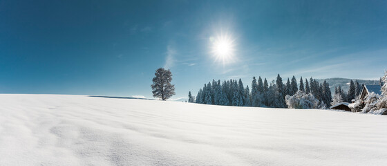 Märchenhafte Schneelandschaft an einem sonnigen Wintertag