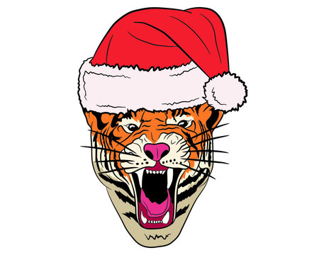 Growling portrait of a tiger in a New Year's hat in isolate on a white background. Vector illustration.