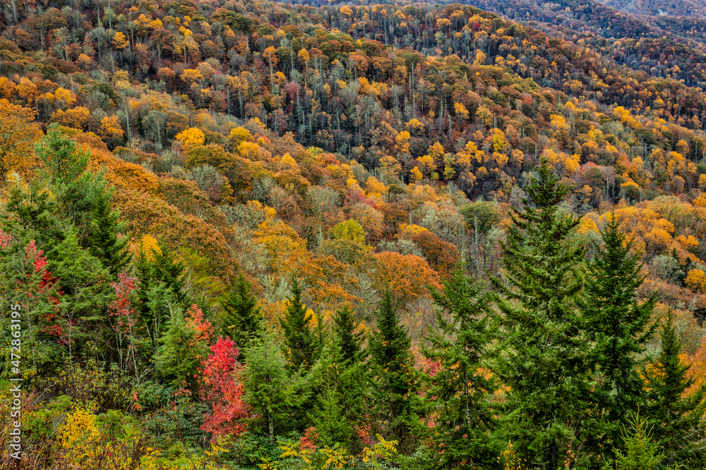 Sticker Great Smokey Mountains, Tennessee