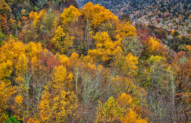 Great Smokey Mountains, Tennessee