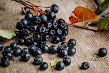 Chokeberry (Aronia melanocarpic) on a wooden table.