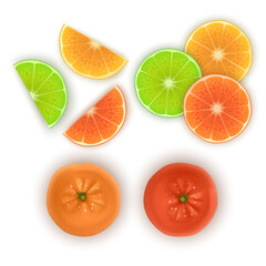 Fresh tangerines with green leaves and orange, vector format