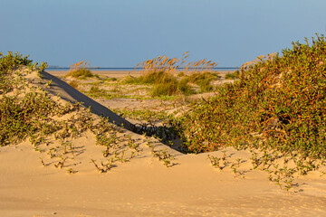 South Padre Island Barrier Dune and tidal flats