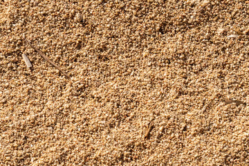 natural sand texture surface on beach with some thrash on it