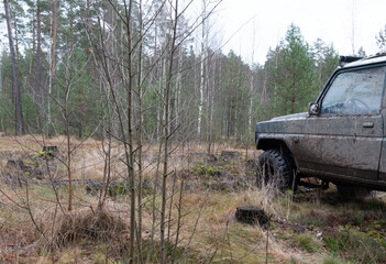 Obraz na płótnie Canvas photograph of a jeep in an impenetrable forest