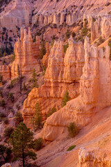 USA, Utah. Bryce Canyon National Park, dawn view south from Fairyland Point with colorful eroded hoodoos.