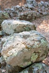 Lichens cover the rocks of an ancient wall..