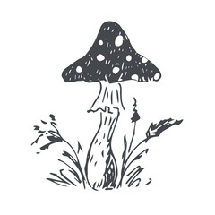 Amanita mushroom. Sketch. Vector illustration.