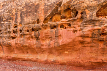 USA, Utah. Capitol Reef National Park, Numerous small openings called waterpockets are visible in the sandstone walls of Grand Wash.