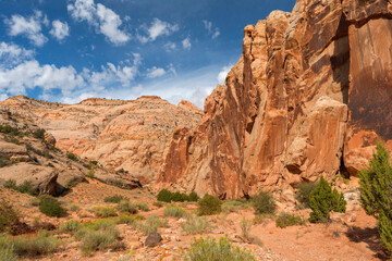 Fototapeta premium USA, Utah. Capitol Reef National Park, Walls of Wingate and Navajo Sandstone rise above floor of Grand Wash.