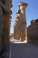 Templo de Luxor, Luxor, Egypt