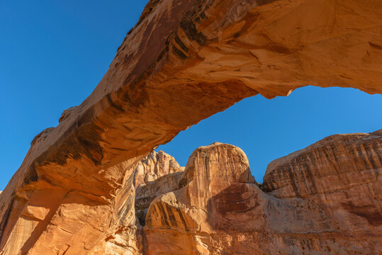 Hickman Bilder Durchsuchen 800 Archivfotos, und Videos